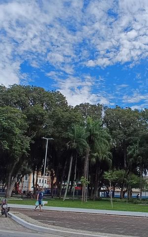 Studio para alugar com 25m², 1 quarto e sem vagaENTORNO PRACA VERISSIMO MELO 