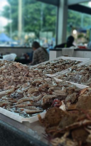Studio para alugar com 25m², 1 quarto e sem vagaENTORNO MERCADO DE PEIXES