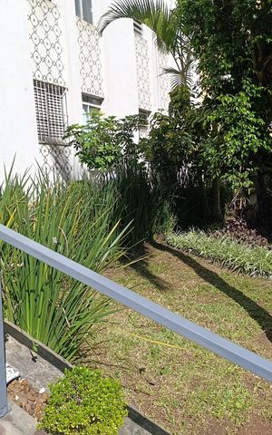 Apartamento para alugar com 49m², 1 quarto e sem vaga Apartamento para alugar com 49m², 1 quarto e sem vagaÁrea Comum