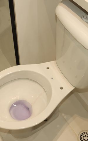 Apartamento para alugar com 59m², 1 quarto e 1 vagaBanheiro