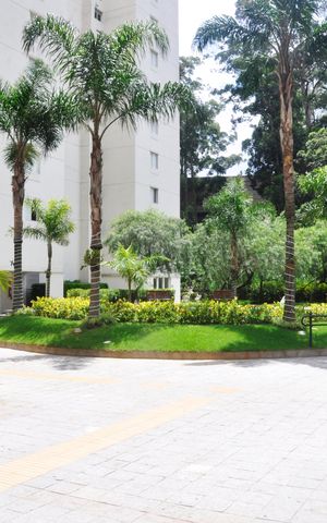 Apartamento à venda com 81m², 3 quartos e 1 vaga Apartamento à venda com 81m², 3 quartos e 1 vagaÁrea comum