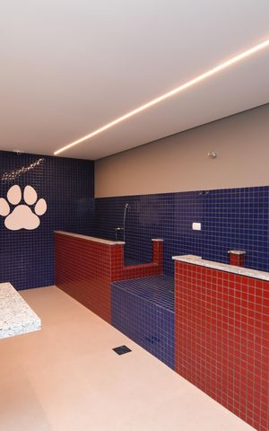 Apartamento à venda com 46m², 2 quartos e 1 vagaÁrea comum - Pet