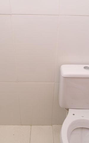 Casa de condomínio para alugar com 68m², 2 quartos e 2 vagasBanheiro 2 - Suíte 2
