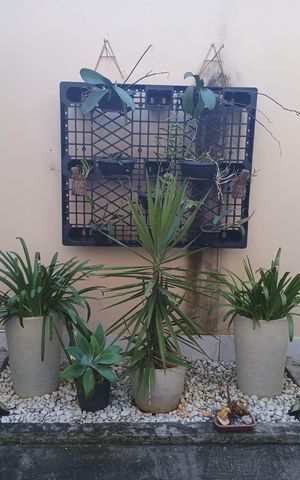 Casa à venda com 520m², 4 quartos e 4 vagas