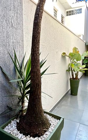 Casa à venda com 190m², 3 quartos e 3 vagas Casa à venda com 190m², 3 quartos e 3 vagasQuintal