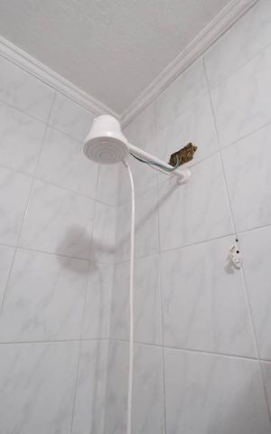 Casa à venda com 400m², 4 quartos e 4 vagasBanheiro 1