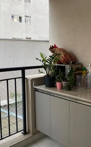 Apartamento à venda com 70m², 3 quartos e 2 vagas