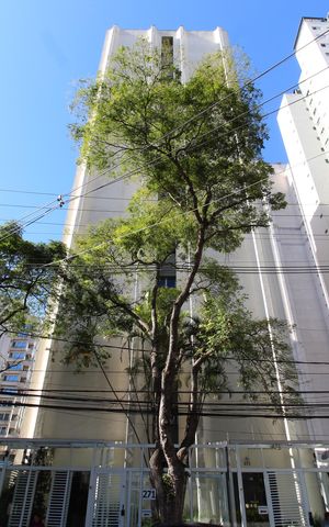 Apartamento para alugar com 68m², 2 quartos e 2 vagasFachada do Prédio