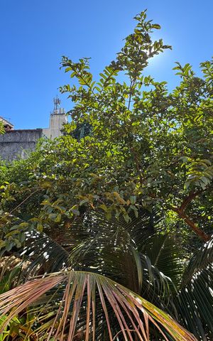 Casa à venda com 700m², 5 quartos e 2 vagas Casa à venda com 700m², 5 quartos e 2 vagasVista - Sala