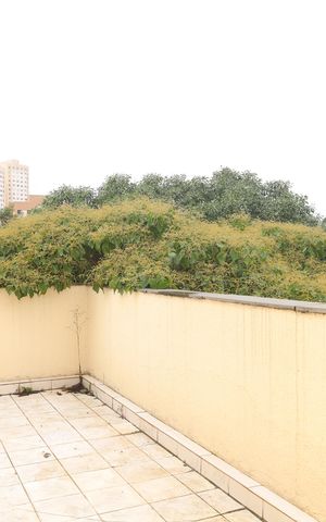 Apartamento à venda com 92m², 3 quartos e sem vagaQuintal