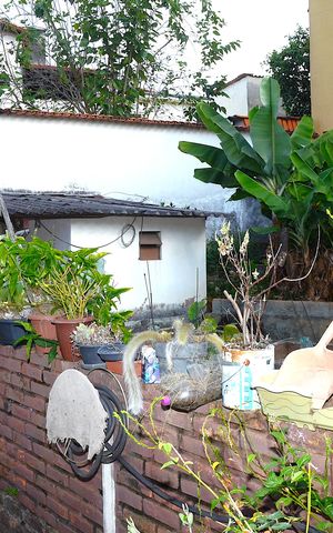 Casa à venda com 428m², 3 quartos e 3 vagasQuintal