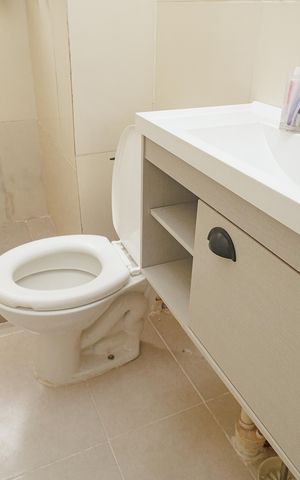 Apartamento para alugar com 40m², 2 quartos e sem vaga Apartamento para alugar com 40m², 2 quartos e sem vagaBanheiro