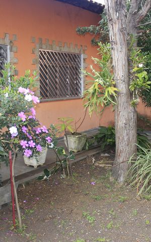 Casa à venda com 420m², 4 quartos e 4 vagasGaragem e jardim