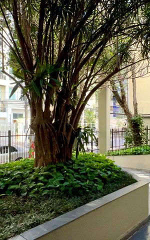 Apartamento para alugar com 90m², 3 quartos e 1 vaga Apartamento para alugar com 90m², 3 quartos e 1 vagaÁrea comum