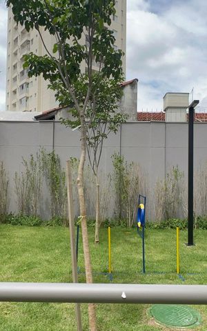 Studio para alugar com 25m², 1 quarto e sem vaga Studio para alugar com 25m², 1 quarto e sem vagaPetplace