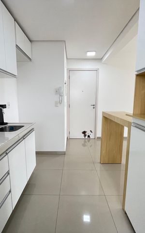 Apartamento à venda com 80m², 2 quartos e 1 vaga Apartamento à venda com 80m², 2 quartos e 1 vagaCozinha