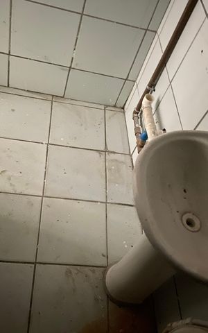 Casa para alugar com 50m², 1 quarto e sem vaga Casa para alugar com 50m², 1 quarto e sem vagaBanheiro