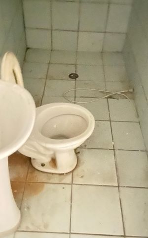 Casa para alugar com 50m², 1 quarto e sem vaga Casa para alugar com 50m², 1 quarto e sem vagaBanheiro