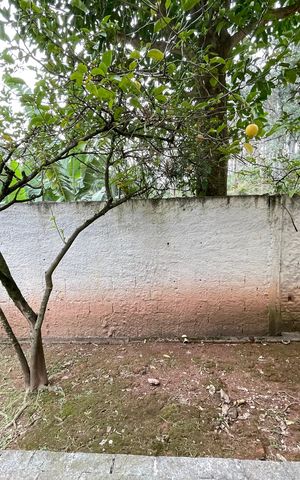 Apartamento à venda com 51m², 2 quartos e 1 vaga Apartamento à venda com 51m², 2 quartos e 1 vagaQuarto 1