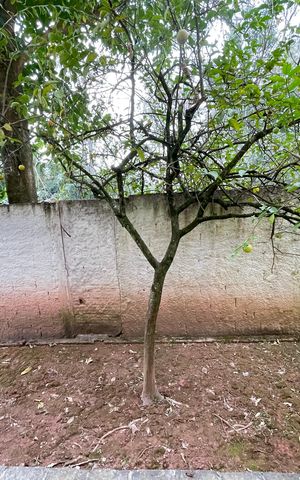 Apartamento à venda com 51m², 2 quartos e 1 vaga Apartamento à venda com 51m², 2 quartos e 1 vagaQuarto 2