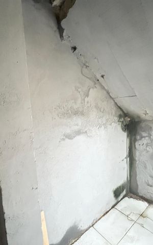 Apartamento para alugar com 55m², 3 quartos e sem vagaQuarto de Serviço