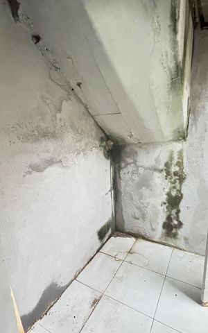 Apartamento para alugar com 55m², 3 quartos e sem vagaQuarto de Serviço