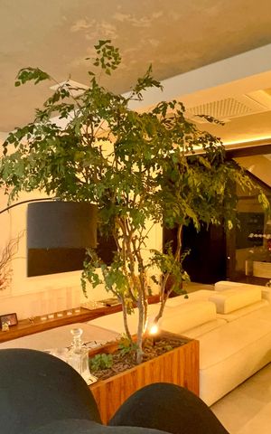 Apartamento para alugar com 157m², 1 quarto e 2 vagas Apartamento para alugar com 157m², 1 quarto e 2 vagasSala