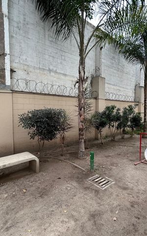 Apartamento à venda com 42m², 1 quarto e 1 vagaEspaço Pet