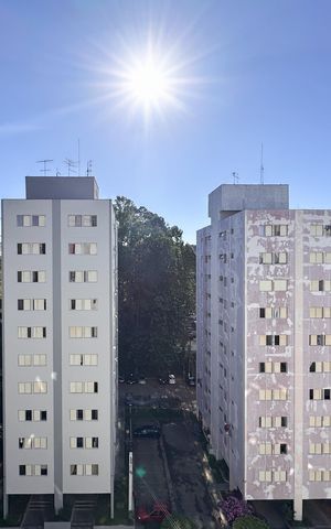 Apartamento para alugar com 59m², 2 quartos e 1 vaga Apartamento para alugar com 59m², 2 quartos e 1 vagaVista do Quarto 1
