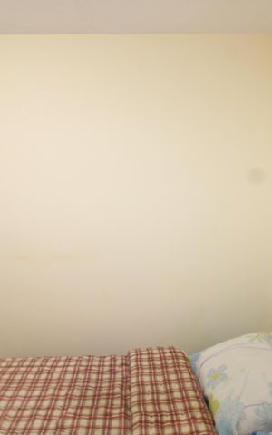 Apartamento à venda com 50m², 2 quartos e sem vagaQuarto 2