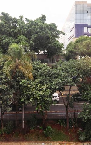 Apartamento à venda com 50m², 2 quartos e sem vagaQuarto 1