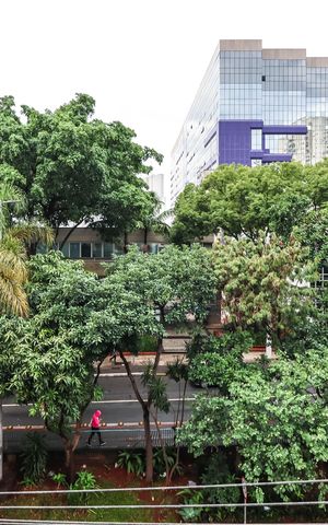 Apartamento à venda com 50m², 2 quartos e sem vagaQuarto 2