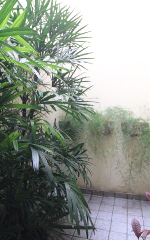 Casa à venda com 96m², 3 quartos e 2 vagasJardim