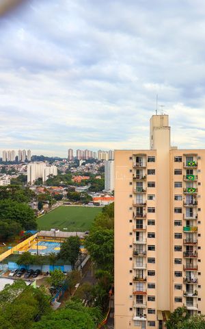 Apartamento para alugar com 55m², 2 quartos e 1 vagaVista do quarto 1