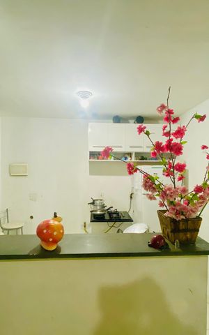 Apartamento para alugar com 46m², 2 quartos e 1 vagaCozinha