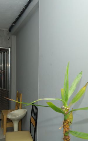 Casa à venda com 240m², 2 quartos e 1 vagaGaragem