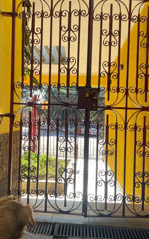 Casa à venda com 500m², 3 quartos e 3 vagas Casa à venda com 500m², 3 quartos e 3 vagasÁrea externa