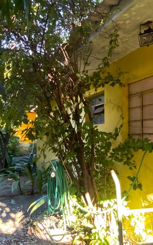 Casa à venda com 500m², 3 quartos e 3 vagas Casa à venda com 500m², 3 quartos e 3 vagasÁrea externa - Jardim
