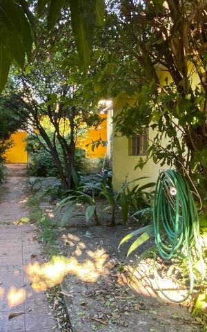 Casa à venda com 500m², 3 quartos e 3 vagas Casa à venda com 500m², 3 quartos e 3 vagasÁrea externa - Jardim