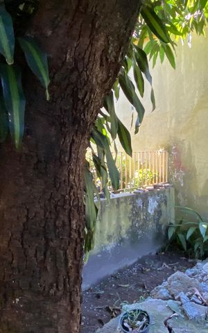 Casa à venda com 500m², 3 quartos e 3 vagas Casa à venda com 500m², 3 quartos e 3 vagasÁrea externa