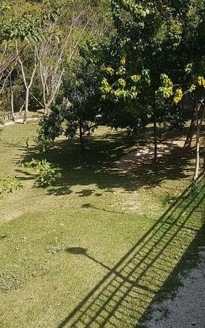 Apartamento para alugar com 69m², 2 quartos e 2 vagas Apartamento para alugar com 69m², 2 quartos e 2 vagasÁrea externa