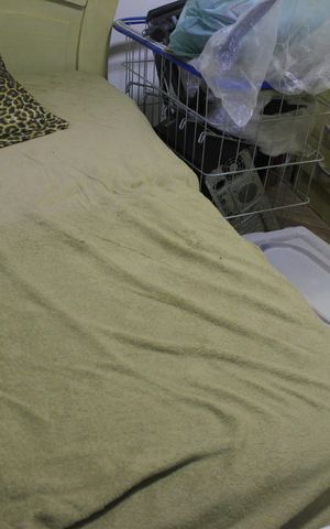 Apartamento à venda com 50m², 2 quartos e 1 vagaQuarto 2