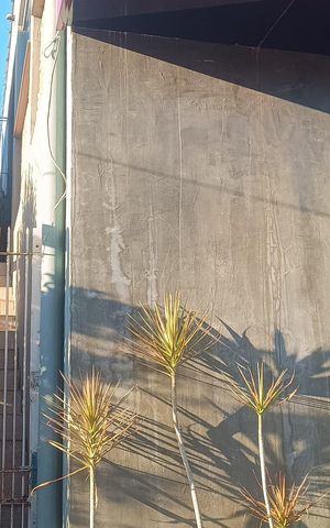 Apartamento para alugar com 60m², 1 quarto e sem vaga