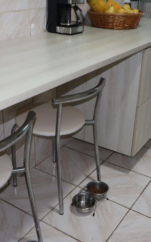Apartamento à venda com 60m², 2 quartos e 1 vagaCozinha e Área de Serviço