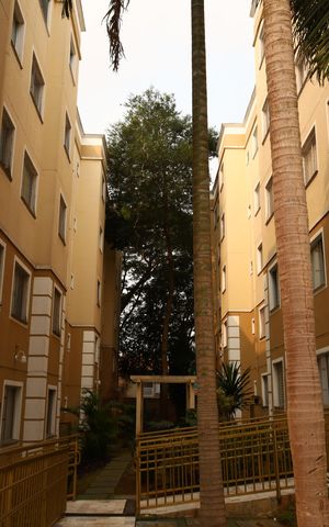 Apartamento à venda com 52m², 2 quartos e 1 vagaÁrea Comum