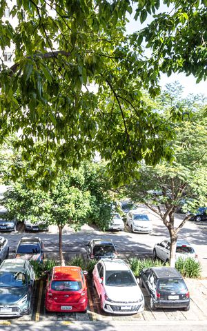 Apartamento à venda com 56m², 3 quartos e 1 vagaQuarto 2 - vista
