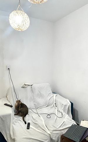 Casa para alugar com 220m², 5 quartos e sem vaga Casa para alugar com 220m², 5 quartos e sem vagaQuarto 1