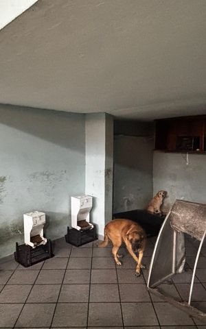 Casa à venda com 165m², 2 quartos e 2 vagas Casa à venda com 165m², 2 quartos e 2 vagasGaragem