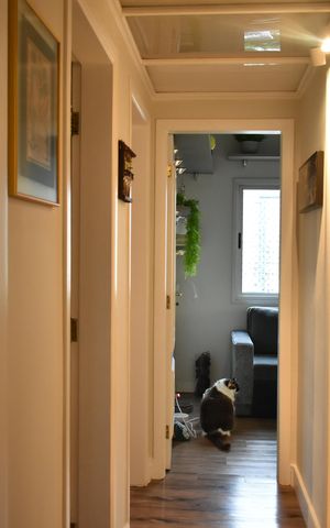 Apartamento à venda com 101m², 3 quartos e 1 vagaCorredor