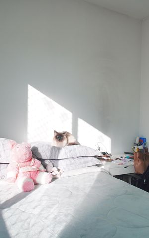 Apartamento à venda com 42m², 2 quartos e 1 vagaQuarto 2